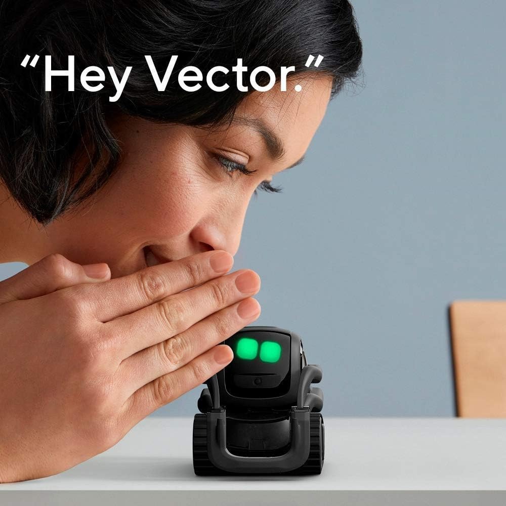 AI ChatGPT 2.0 Connected Robot - Remote Control Toys 评论和价格